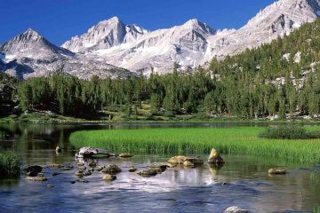 Satılık Konteyner Iğdır