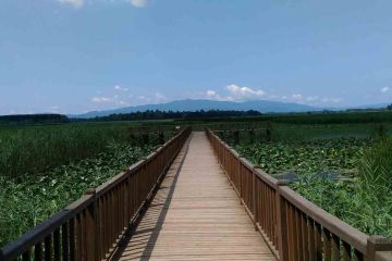 Satılık Konteyner Düzce