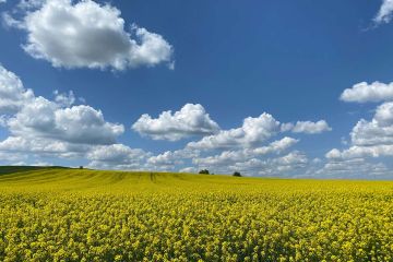 Satılık Konteyner Tekirdağ