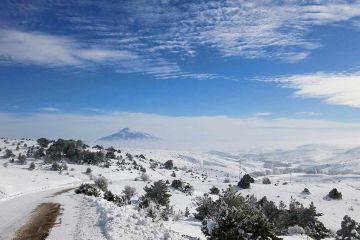 Satılık Konteyner Sivas