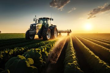 Tarlaya Konteyner Koymak: İpuçları ve Uygulanacak Adımlar