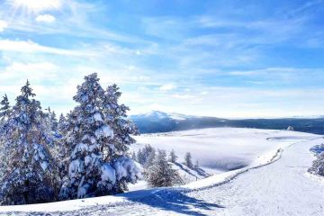 Satılık Konteyner Kars