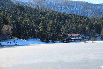 Satılık Konteyner Bolu