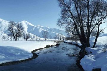 Satılık Konteyner Bitlis